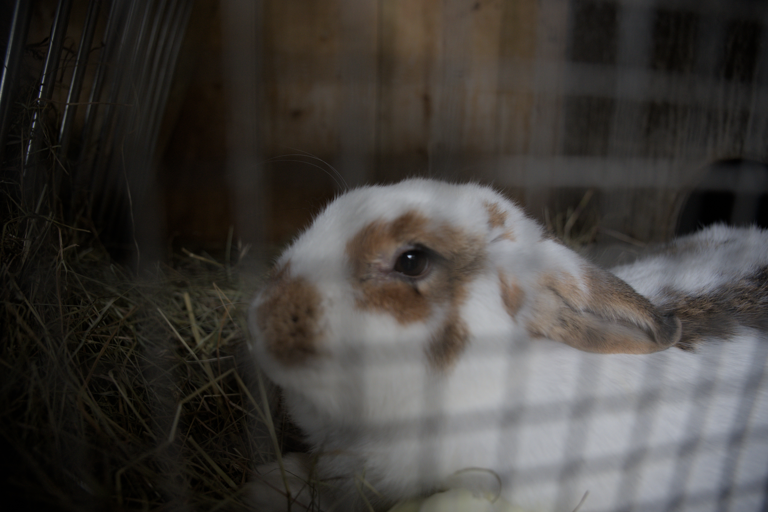 2025/10/12 - zoo/DSC_0364.jpg